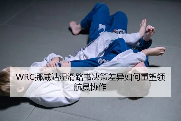 nuo-wei-zhan-shi-hua-lu-shu-jue-ce-cha-yi-ru-he-zhong-su-ling-hang-yuan-xie-zuo-2-282.jpg